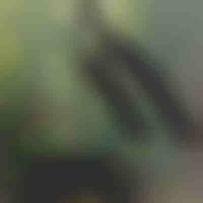 Guarda-lama de bicicleta retrátil FOLDIGUARD