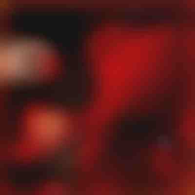 O presente que fala amor | LOVEBEAR