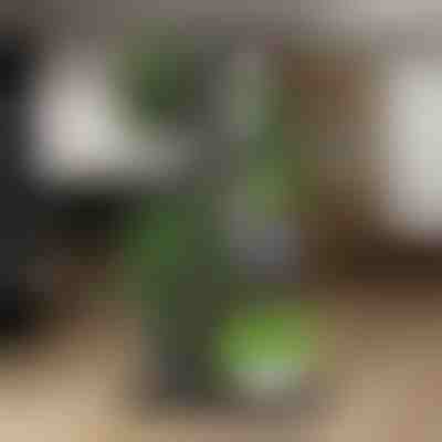 Suporte para vasos de plantas | POTSTAGE