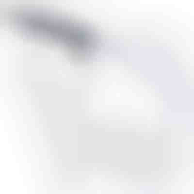 Kit de purga de travões | BLEEDHOSE